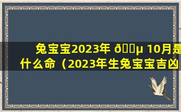 兔宝宝2023年 🐵 10月是什么命（2023年生兔宝宝吉凶月份介绍）